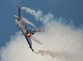 AirPower 2013