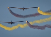 a26