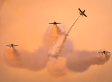 a29