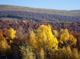 Bieszczady 21.10.2012