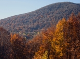 Bieszczady 21.10.2012