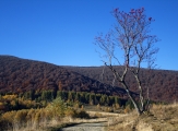 Bieszczady 21.10.2012