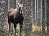 Mazury 11.11.2011