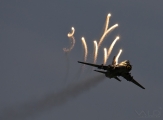 Radom Air Show 2011