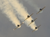 Radom AirShow 2013